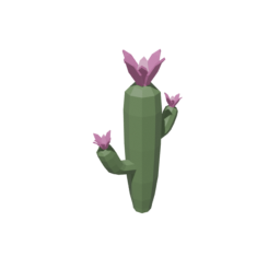 Cactus Flowers 3